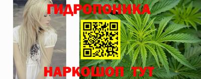 хмурый Малоярославец