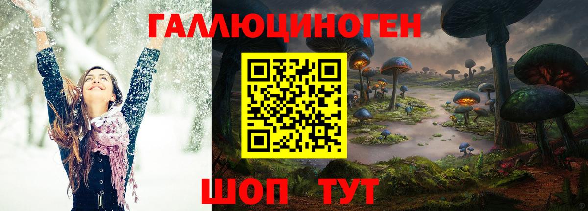 Псилоцибиновые грибы мицелий Великие Луки