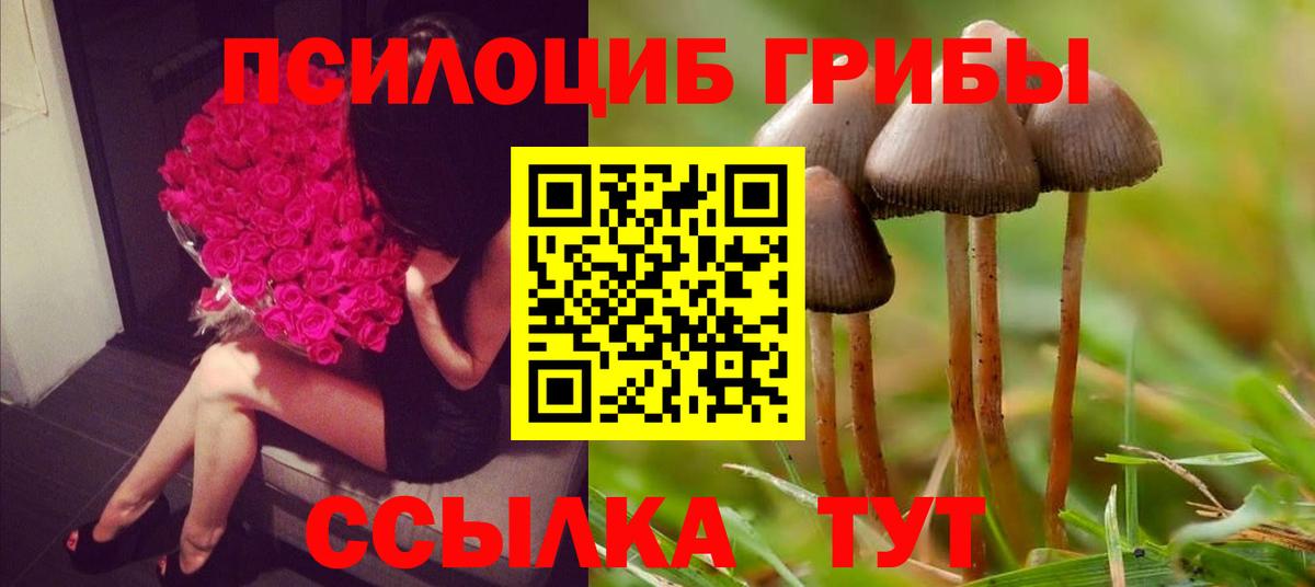 где купить наркоту  Псилоцибиновые грибы Magic Shrooms  Вход с VPN  Великие Луки 